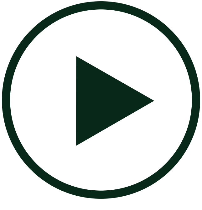 ikonica_video