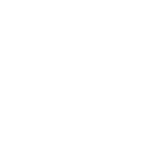 servis_icon